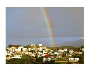 Aloni, Kamilari (foto 2)