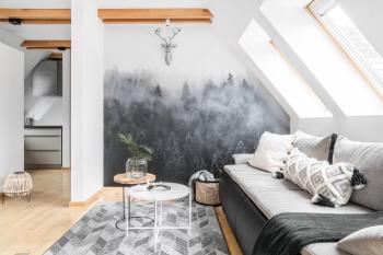 Rent like home - Zamoyskiego II, Zakopane (fotografie 4)