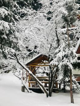 Вілла Лісова комфорт, Skhidnytsya (foto 4)
