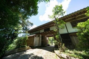 Wataya - 市原 和多屋-, Ichihara (fotografie 5)