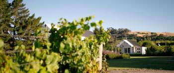 305 in the Vines, Havelock North (Foto 4)