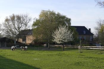 Meschermolen 12, Eijsden (zdjęcie 3)
