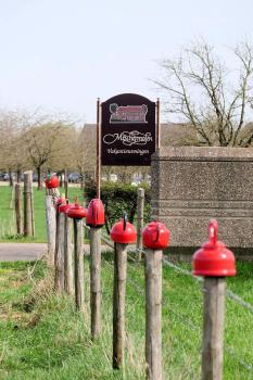 Meschermolen 8, Eijsden (fotografie 4)