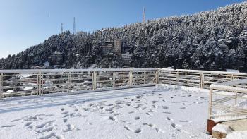 Nomadic Inn, Dharamshala (photo 4)