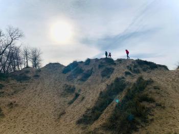 Potvis, Oostduinkerke (photo 3)