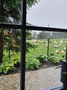 Pokoje na Buńdówkach, Zakopane (foto 4)