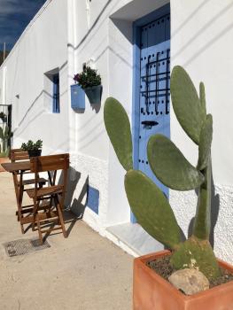 Damajuana, Níjar (Foto 2)