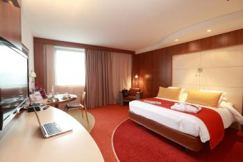Hotel Mercure Toulouse Centre Compans, Toulouse (Foto 3)
