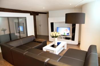 Le Corbeau - Grand Appartement Strasbourg Centre, Calme, Strasbourg (photo 2)
