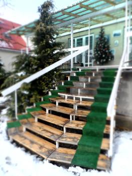 Ранчо -басейн,тераса, квіти, сад, Uschhorod (Foto 3)