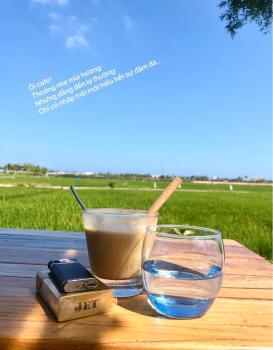 Q.HI homestay, Hoi An (foto 4)