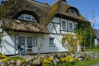 Rohrdachhus, Middelhagen (foto 2)