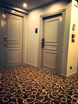 Antik Hotel Istanbul, Istanbul (photo 4)
