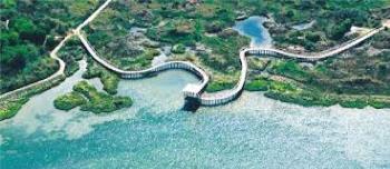 Apartment in Rosolina Mare 25069, Rosolina Mare (foto 3)
