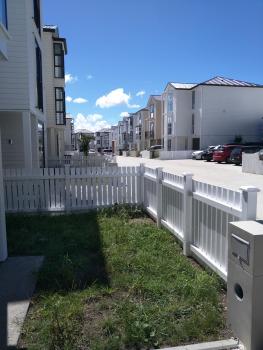 Peter new home, Auckland (fotografie 5)