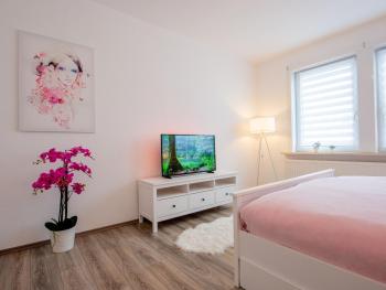 EUPHORAS - Modern eingerichtete Ferienwohnung mit 3 Schlafzimmern im Harz, Clausthal-Zellerfeld (zdjęcie 4)
