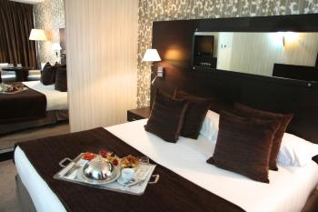 Hotel Palladia, Tolosa (foto 3)