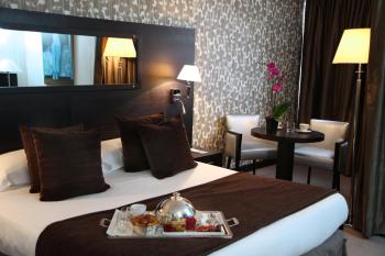 Hotel Palladia, Tolosa (foto 4)