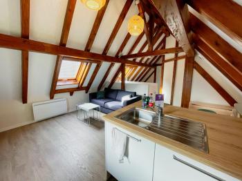 Le Cocon - Classé 3 étoiles - Avec garage, à 5mn du centre, Strasbourg (photo 5)