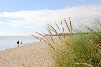 strandnah mit Terrasse, gratis Nutzung vom AHOI Erlebnisbad und Sauna in Sellin - Strandhaus Mönchgut FeWo06, Lobbe (foto 3)