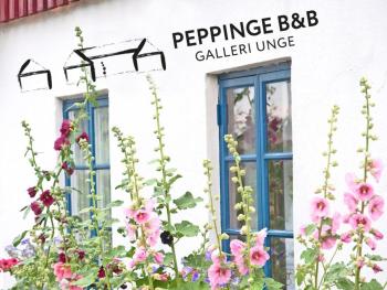 Peppinge Bed & Breakfast, Löderup (фото 2)