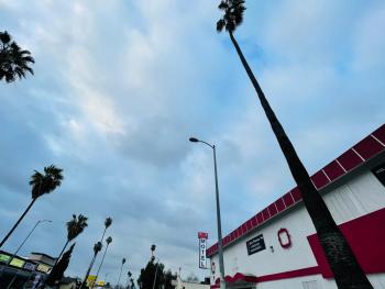 Casa Valentine Inn - Los Angeles, Los Angeles (fotografie 3)