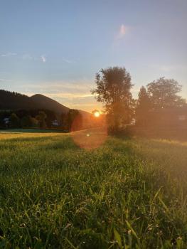 Haslehnerhof, Ramsau am Dachstein (fotografie 4)