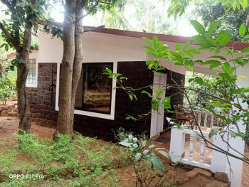 Namaste Yoga Farm, Gokarna (Foto 5)