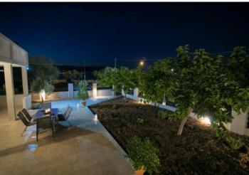 AMMOS, Salamina (foto 5)