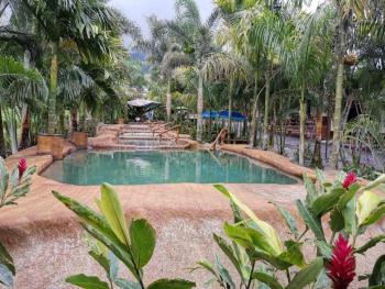 Hotel Palmera Real Hot Springs, Fortuna (foto 2)