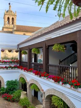 Suites La Posada De Pilar, Córdoba (foto 2)