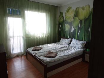 Tulips - Room for overnight travelers, close to the Airport, parking, Sofie (fotografie 3)