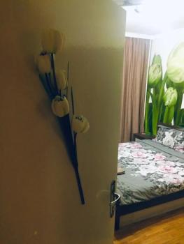 2 Bedrooms with private Bath and balcony near the Airport, Sofia (photo 5)