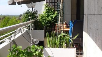 Guestroom with wide view and pool near city side, 2nd guest with extra bed possible, Frankfurt/Main (photo 4)