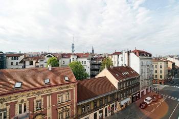 Great Terrace in Big, Central Flat, Praha (fotografie 3)