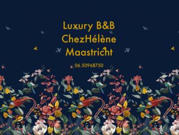 Chez Hélène Luxury BNB, Maastricht (foto 3)