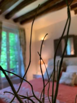 Charming Latin Quarter Courtyard Duplex for four, Paris (Foto 2)