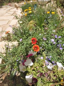 Glezant, Mitzpe Ramon (photo 5)