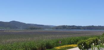 677 on Lake, Wilderness (foto 4)