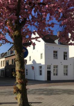 Stadsvilla met patio in centrum Maastricht, Maastricht (fotografie 2)