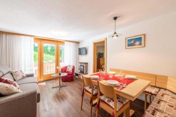 Apartment Balma 3 rooms near Gondelbahn, Zermatt (photo 2)