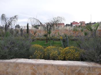 Palm paradise, Split (photo 5)