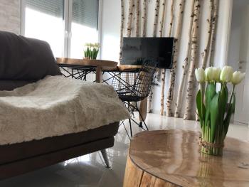 Artistic Luxury, Skopje (photo 4)