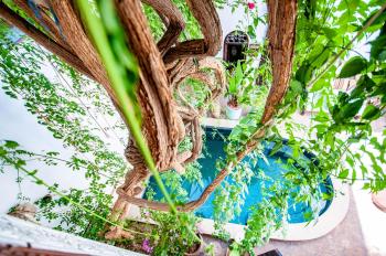 Hotel & Spa Riad Dar El Aila, Marrakech (photo 3)