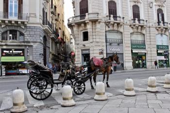 Nido Verde Locazione turistica Palermo, Palermo (fotografie 5)