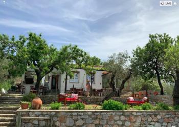 Del & Sol, Skopelos (zdjęcie 2)