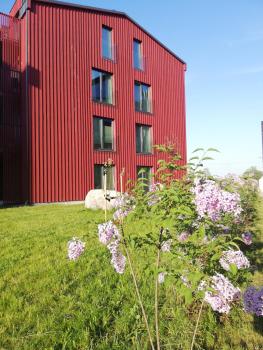 Kalamaja Garden, Tallinn (photo 2)