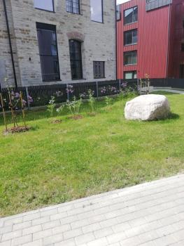 Kalamaja Garden, Tallinn (photo 3)