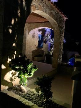 Harmonia Blue, Polis Chrysochous (fotografie 5)