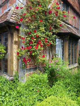 Langshott Manor - Luxury Hotel Gatwick, Horley (fotografie 5)